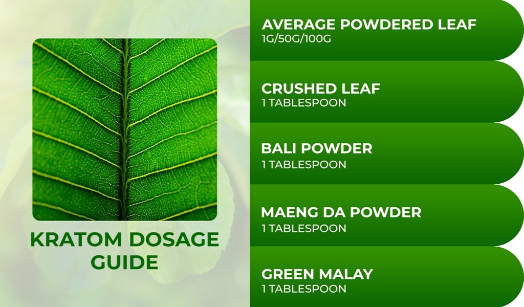 The Ultimate Guide To Red Dragon Kratom Effects Dosage And More