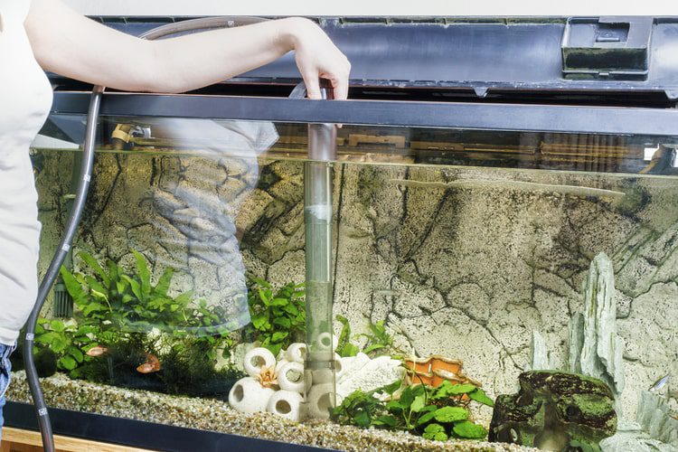 Aquarium Gravel Cleaner