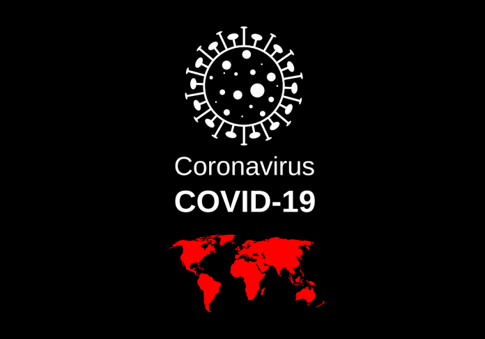 Coronavirus Death Toll in Brazil