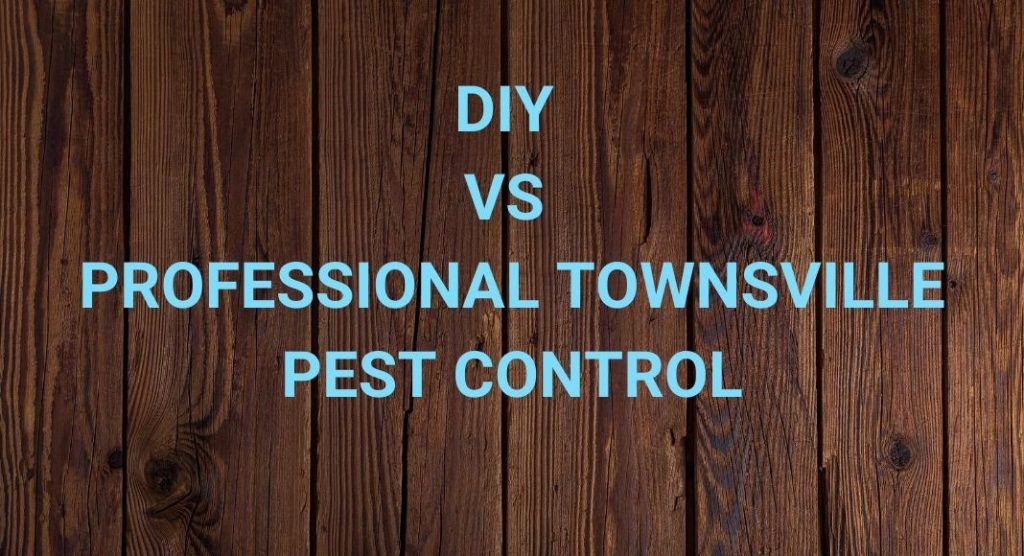 DIY vs Professional Townsville Pest Control