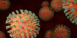 COVID-19 Update: 37.77 Lakh Global Deaths, 17.51 Crore Cases coronavirus