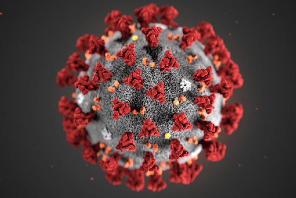 Coronavirus