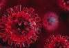 COVID-19 Update: 37 Lakh Global Deaths, 17 Crore Cases Coronavirus