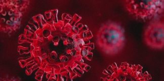 COVID-19 Update: 37 Lakh Global Deaths, 17 Crore Cases Coronavirus