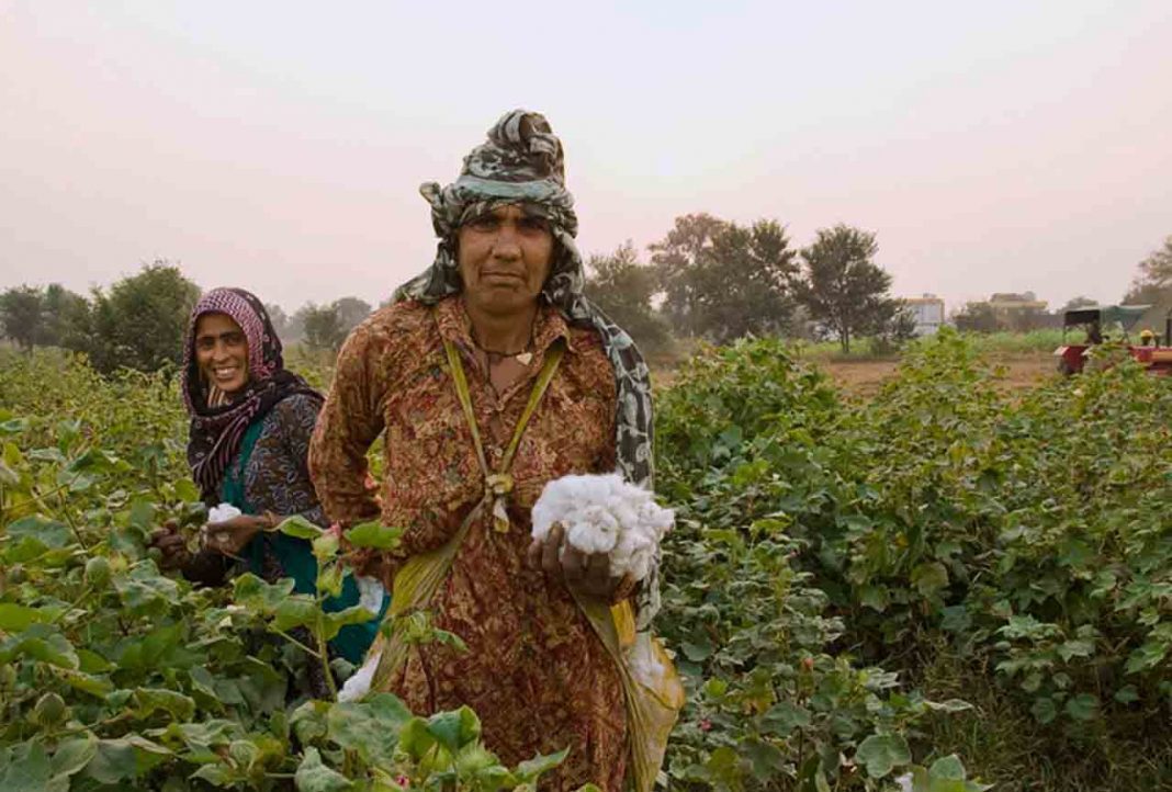 How Cotton Pickers have Evolved with Time in 2021? | Editorialge