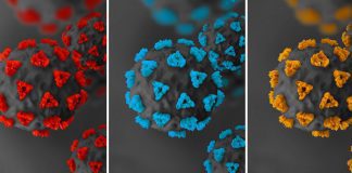 Coronavirus Mutated 32 Times inside HIV-Positive Woman over 200 Days Covid-19 variants