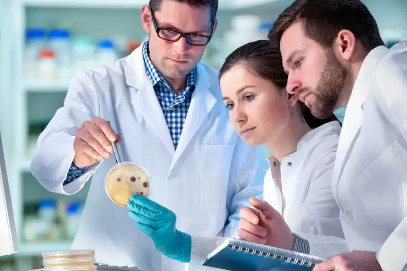 Best MD Programs in the Caribbean Region