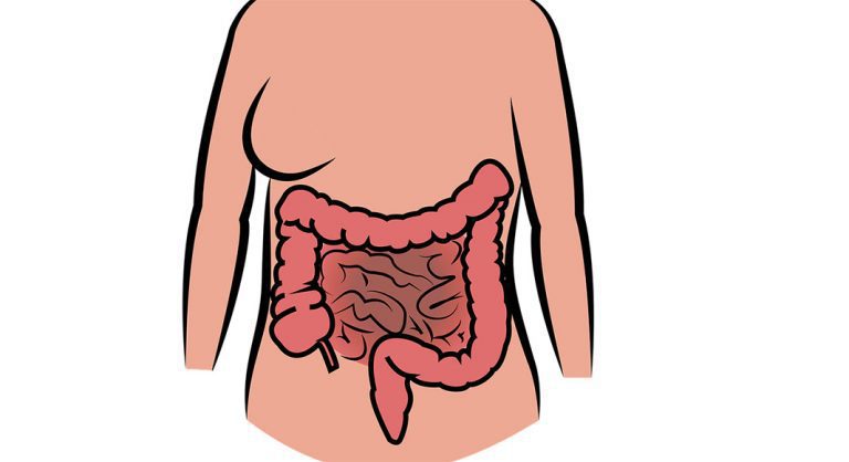 4 Tips to Keep Your Digestive System Healthy
