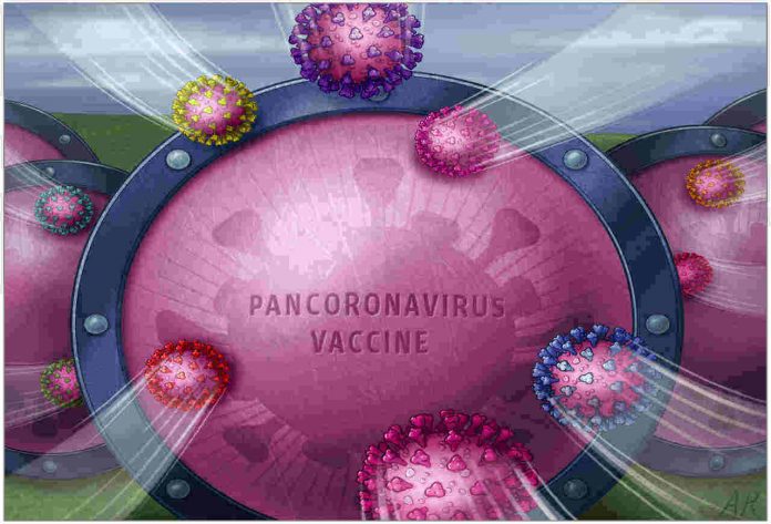 Pan-Coronavirus Vaccine