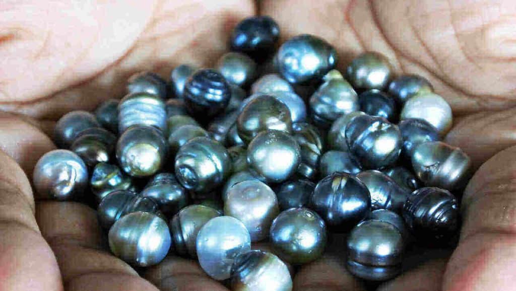 How Much Is A Pearl Worth In South Africa