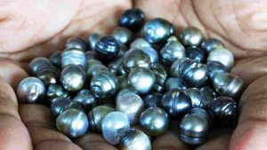 How Much Are Pearls Worth? An Ultimate Guide To Value-Based Pricing