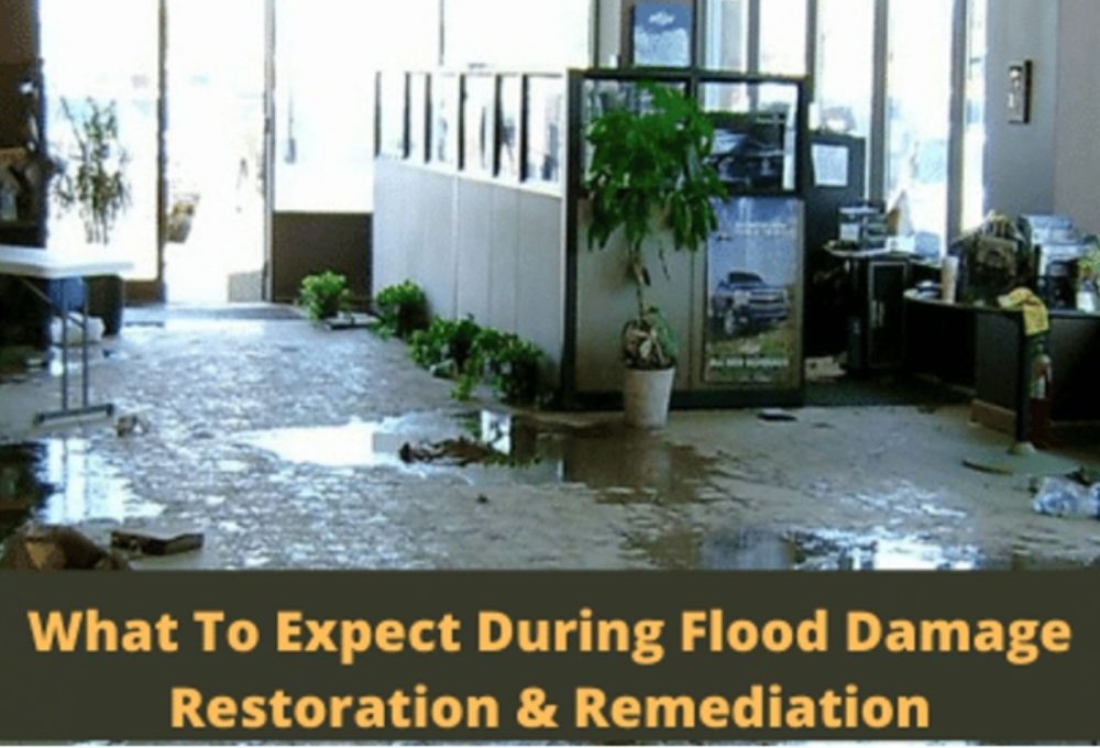 Flood Damage Restoration