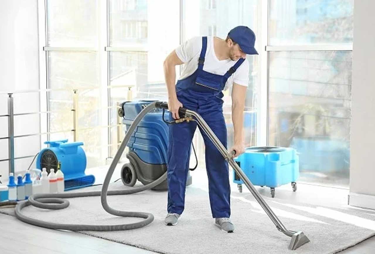 Professional Carpet Cleaner