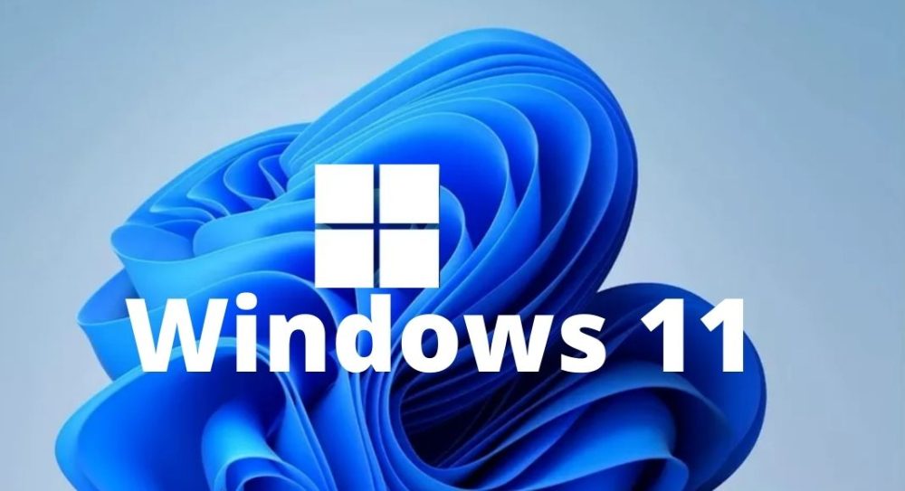 Windows 11