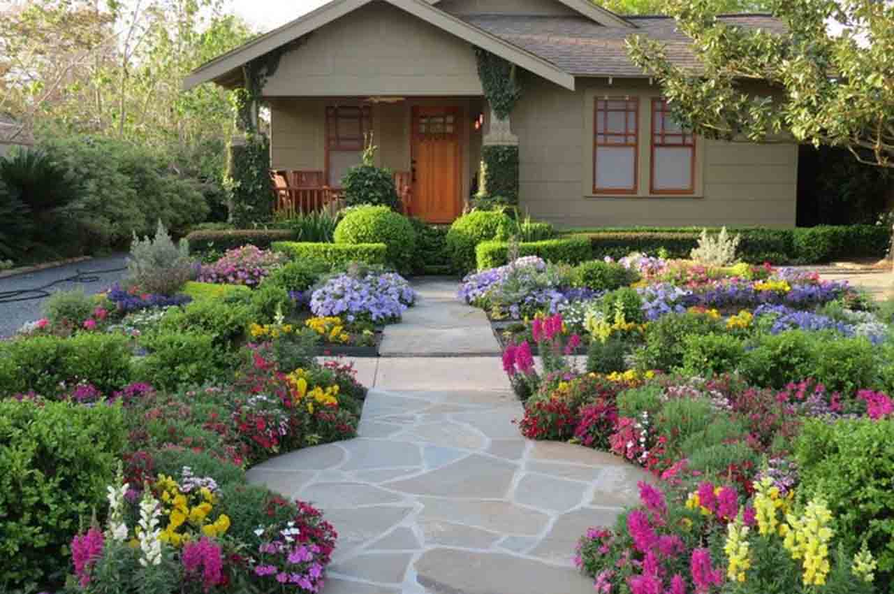 Landscaping Guide