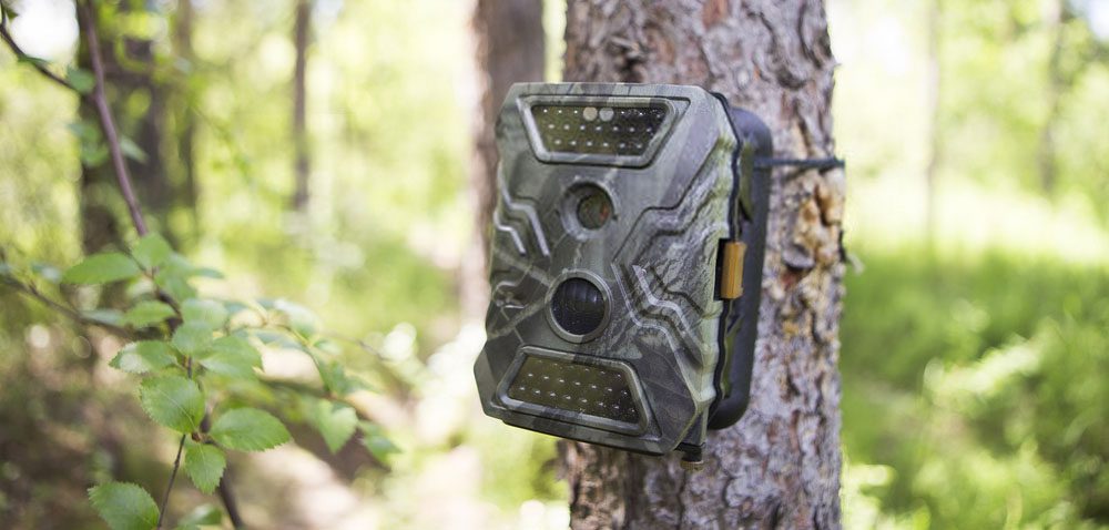 Trail Cameras