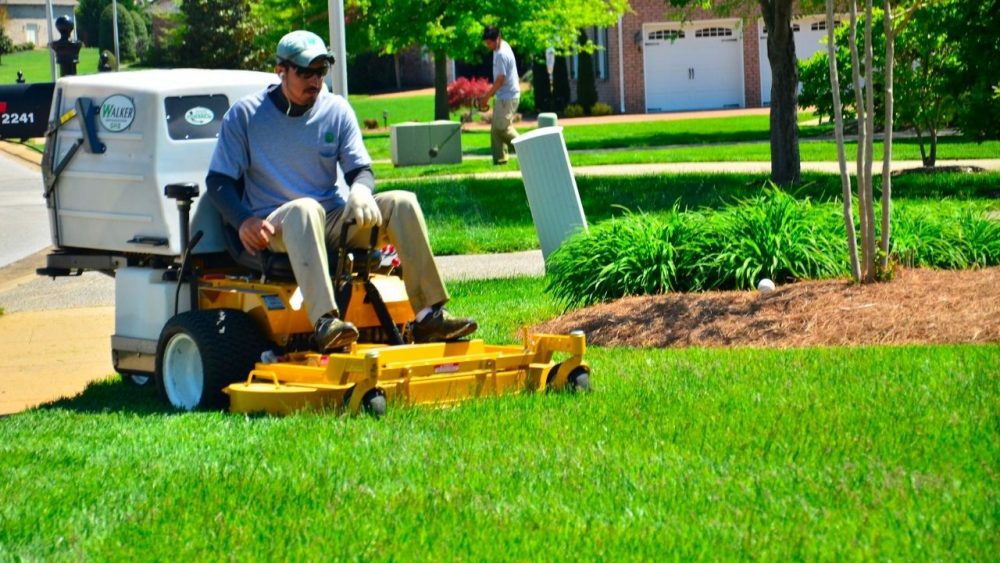 DIY Lawn Care vs. Professional Lawn Care Services