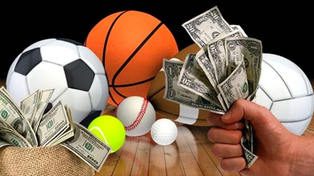 Most Profitable Sports