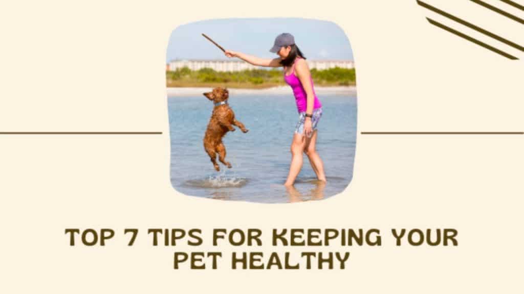 Pet Health (1)