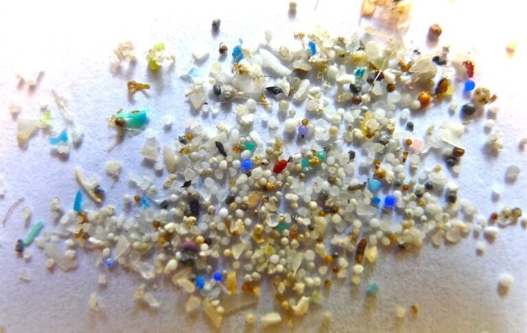 Microplastics Found in Human Blood for First Time