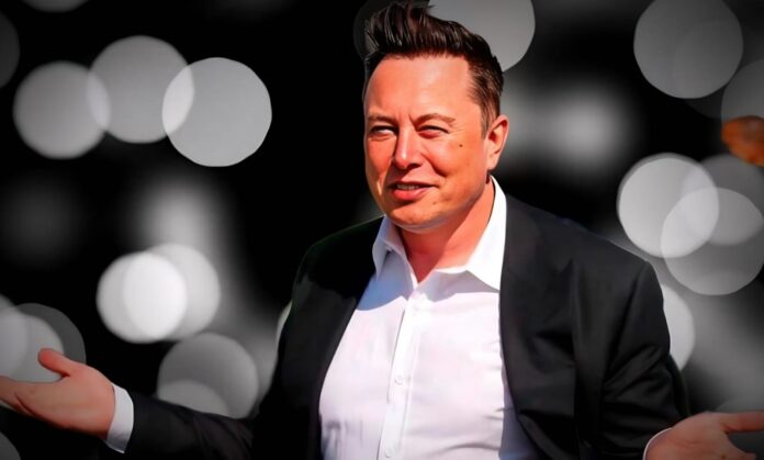 Elon Musk in Cheel Mode