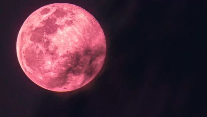 Pink Moon 2022