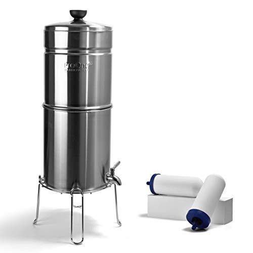 Stainless-Steel Gravity Water Filter