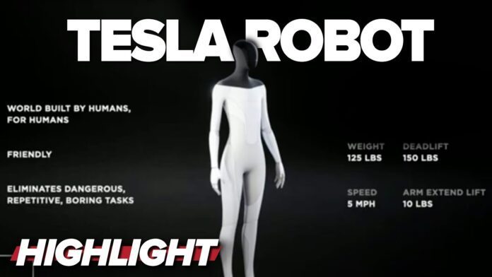 Tesla Robot