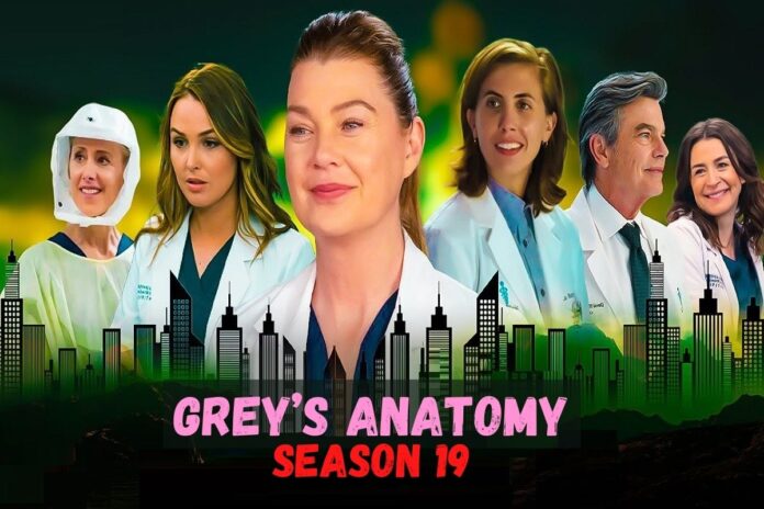 Grey’s Anatomy season 19