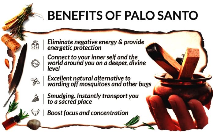 The Healing Properties Of Palo Santo Sticks Therapeutic Benefits