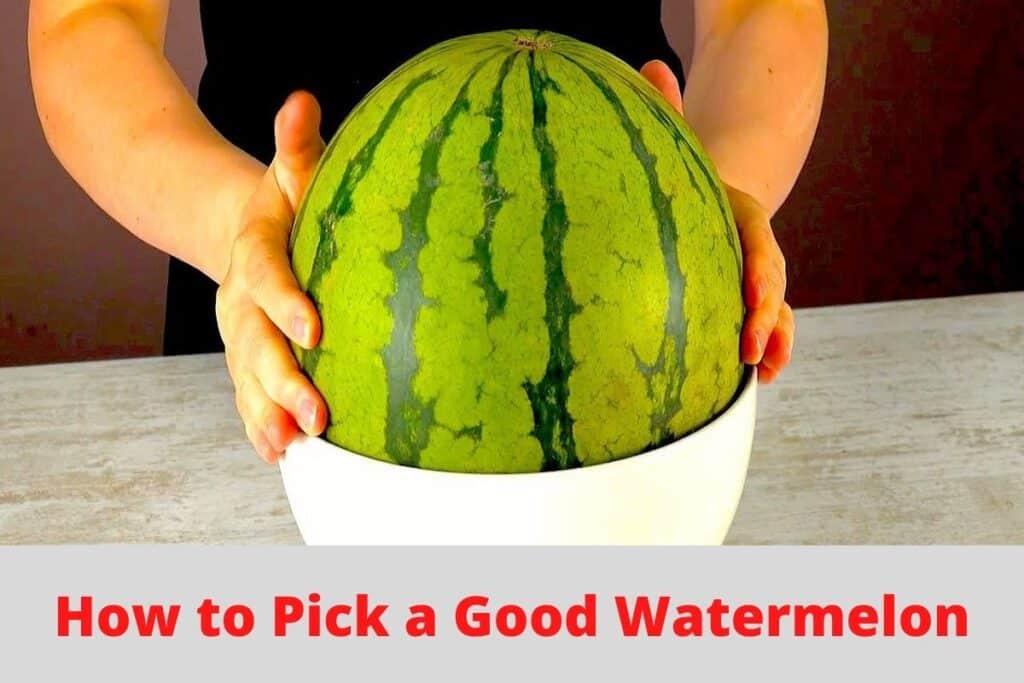 How to Pick a Watermelon