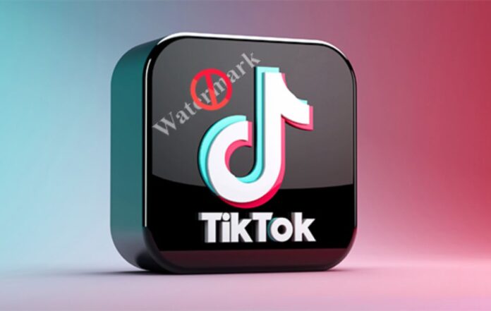 Remove Watermark on TikTok