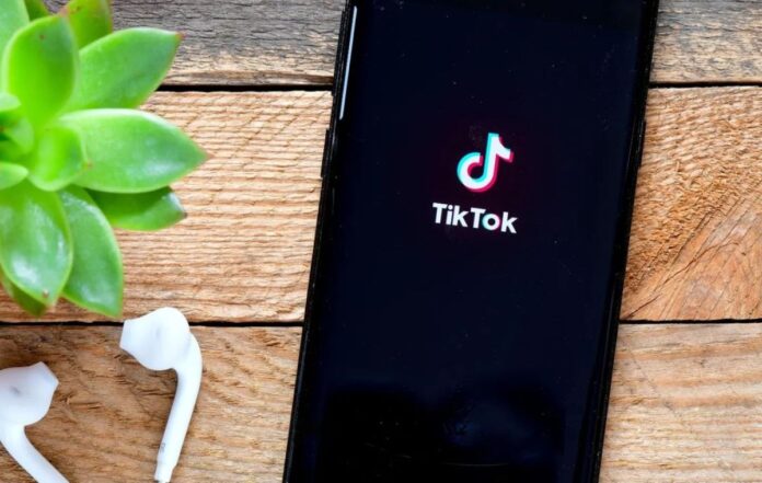 Super Efficient and Cheap Reseller Panel for TikTok