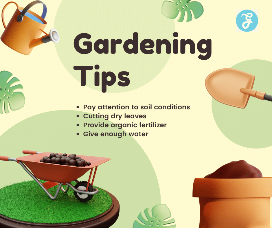 gardening tips