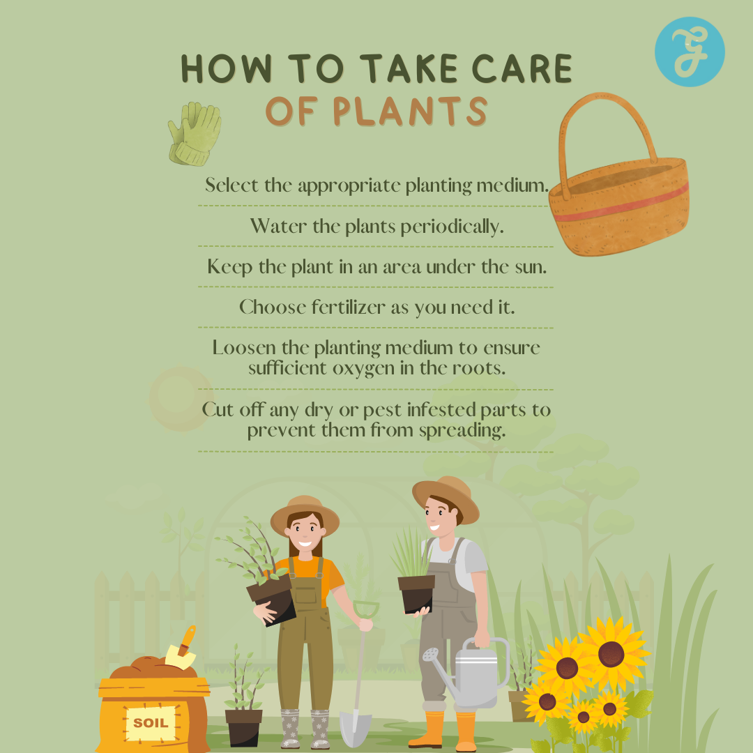 how to take care of plants
