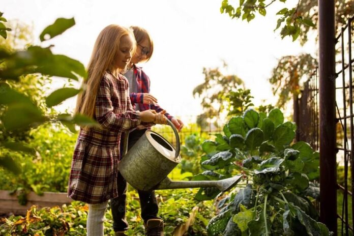 Healthy Lifestyle Through Home Gardening