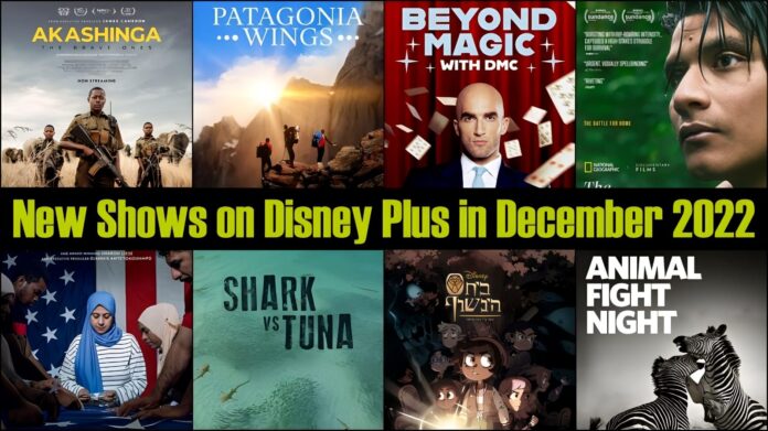 New Shows on Disney Plus in December 2022