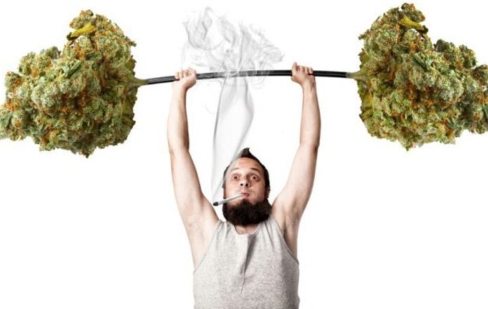 Cannabis for Lose Weight?