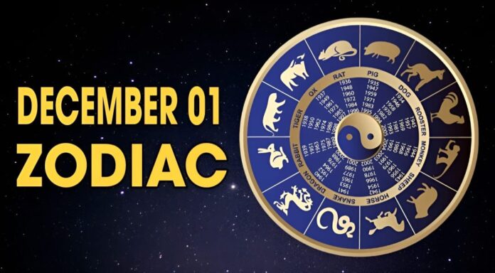 December 01 Zodiac