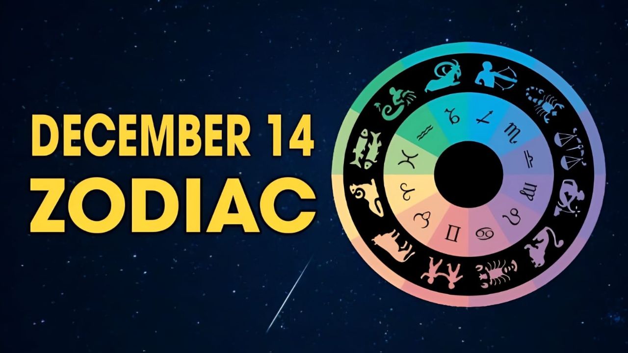 December 14 Zodiac