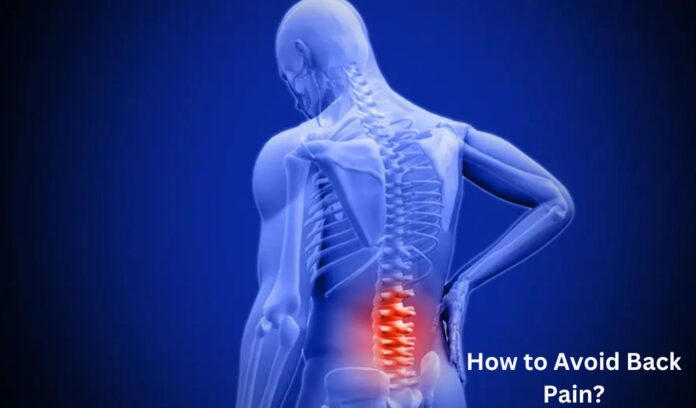 How to Avoid Back Pain?