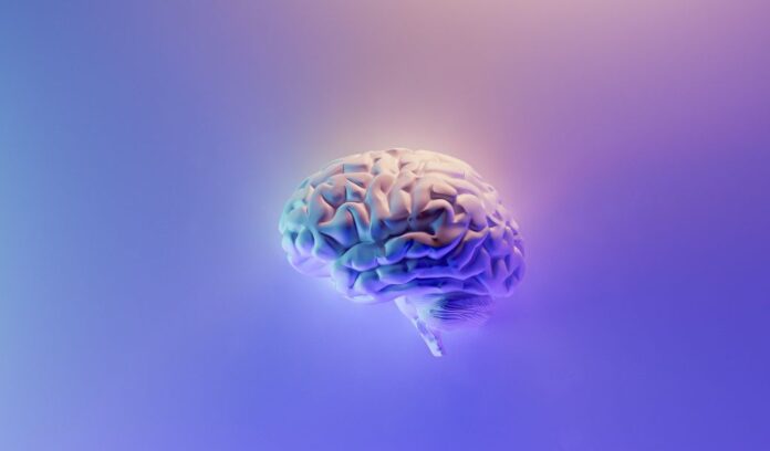 Brain Fog