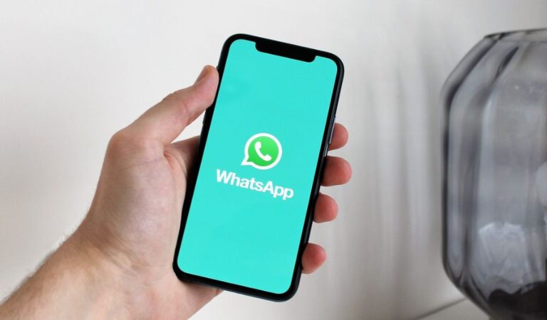 WhatsApp Introduces Native Beta Application for macOS