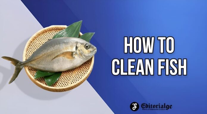 How to Clean Fish