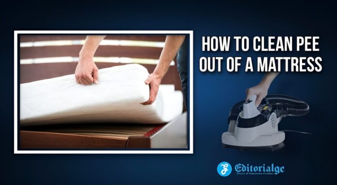 How to Clean Pee Out of a Mattress