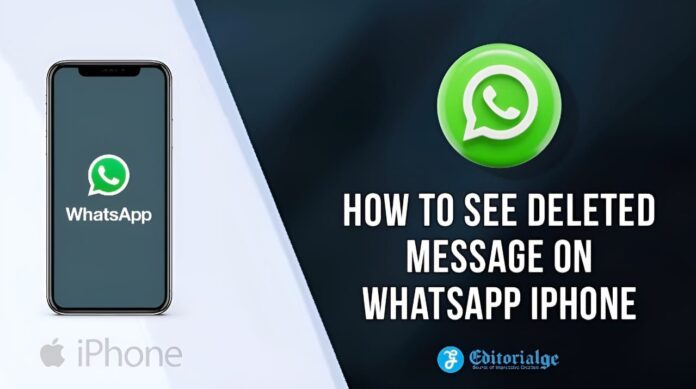 How to See Deleted Message on Whatsapp Iphone