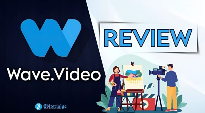 Wave.Video Review