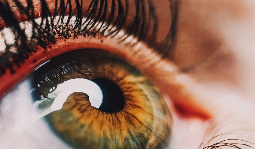 AI-Based Eye Scanning Software