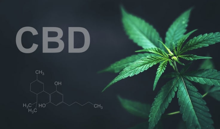 what is CBD