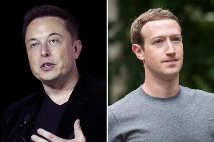 Elon Musk Mocks Mark Zuckerberg